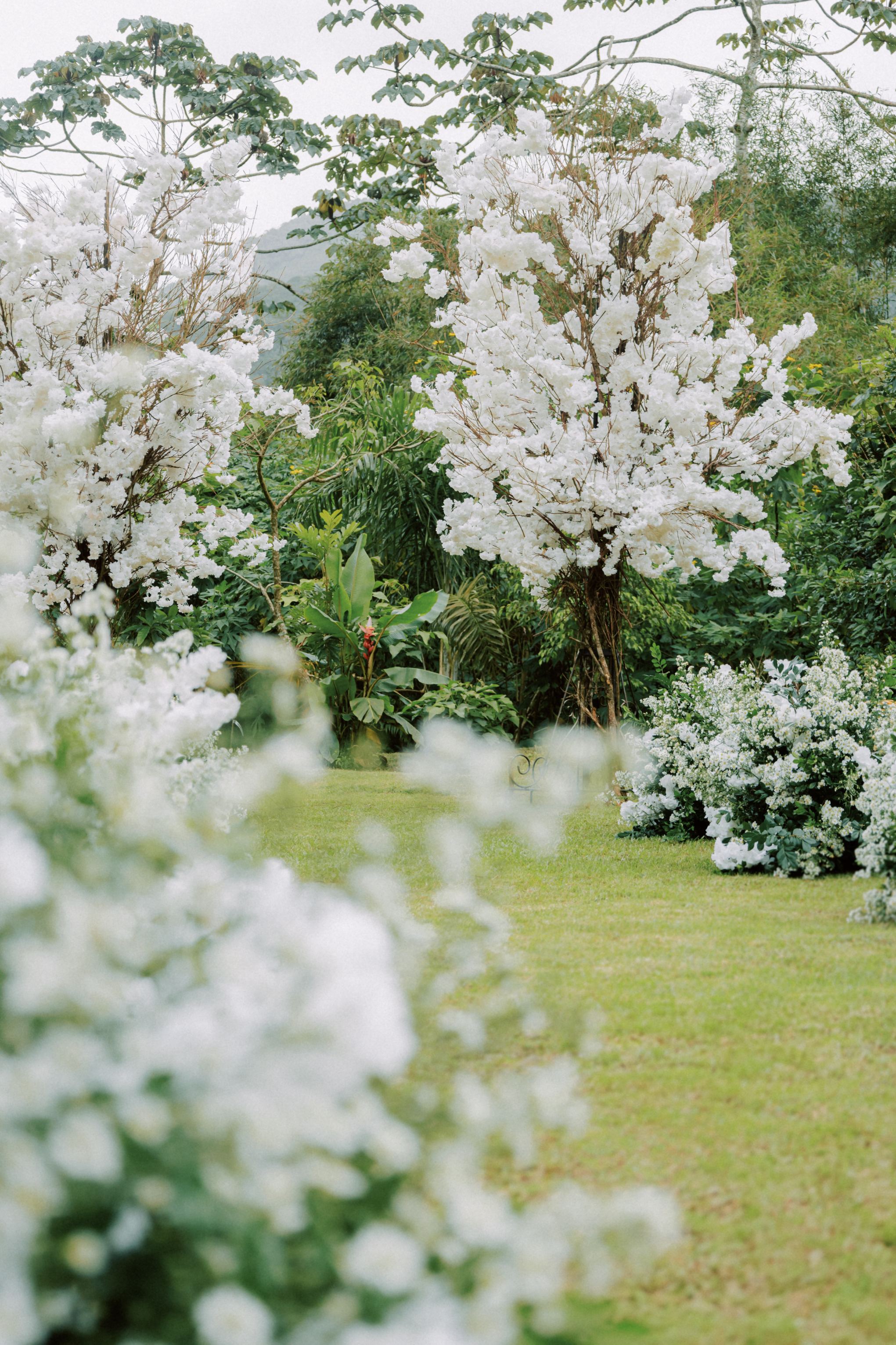 Cerimonia no gramado. 